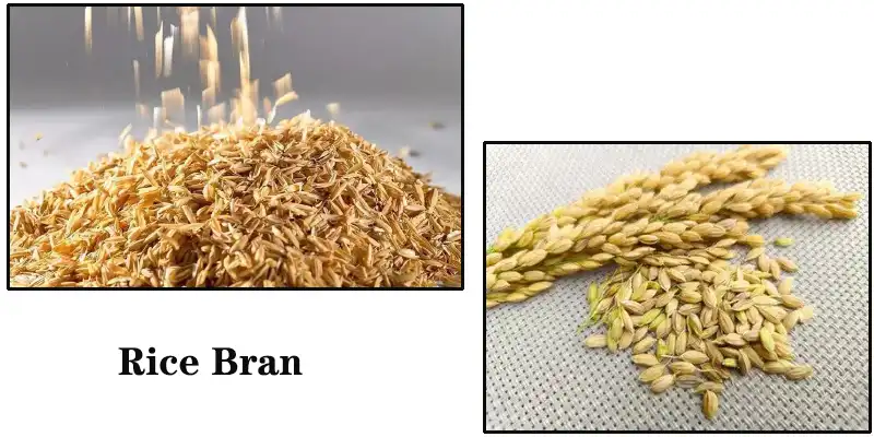 Rice Bran.jpg